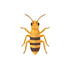 Minimal flat vector of a Termite, 2D icon-style illustration on white background