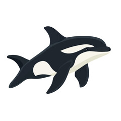 Flat 2D Orca illustration, vector graphic in icon style, on white background