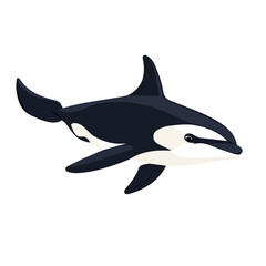 Flat 2D Orca illustration, vector graphic in icon style, on white background