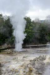 Steam rises from geothermal hot springs at Furnas, São Miguel Island, Azores, showcasing natural volcanic activity and lush green surroundings.