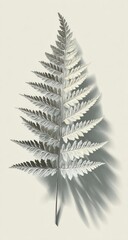Naklejka premium Delicate fern frond, grayscale tones, subtle shadows