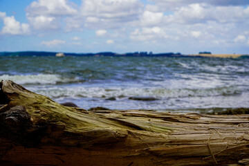 A log on the beach against a choppy sea under a cloudy sky. Driftwood on the Baltic Sea beach, 18586 Mönchgut, Reddevitzer Höft, Rügen Island, Germany