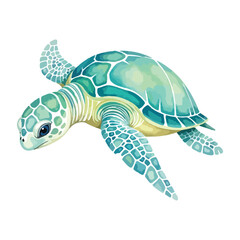 sea turtle vector illustration