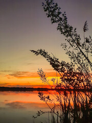 Beautiful sunset with water, sky, trees and bushes
