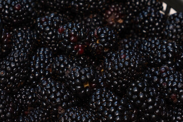Macro image of fresh blackberries. Dark juicy fruit rich in antioxidants, ideal for food, health, and summer design.
