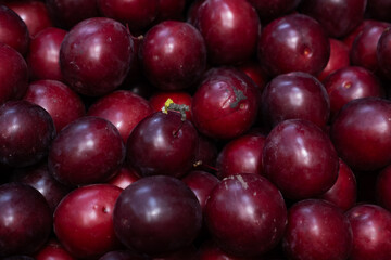 Macro photo of fresh ripe red plums. Glossy skin and natural imperfections highlight seasonal, organic stone fruits ideal for food, health, and harvest themes.