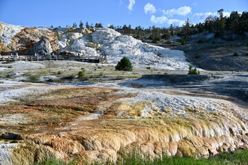 Mammoth Hot Springs