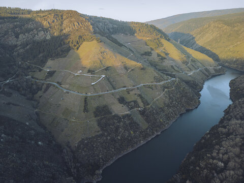 Aerial view of terraced vineyards cascade down steep slopes towards the tranquil river Sil, bathed in the golden light of dawn, Ribeira Sacra, Lugo, Spain.