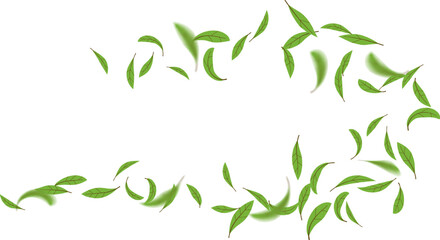 Greenery environment ecology design with leaves green flying wind line. Fresh herbal