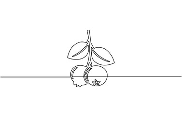 Blueberry fruit one line drawing ,vector .