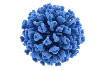 Close-up view of a stylized, spherical, blue virus.  Complex, textured surface