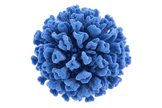 Close-up view of a stylized, spherical, blue virus.  Complex, textured surface