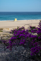 Fototapeta premium Impressionen aus Fuerteventura im Sommer