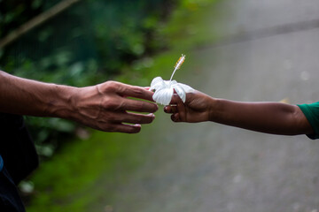 two man holds a white flower, and the background is blurred