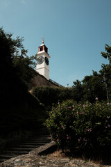 The Petrovaradin clock tower rises above the fortress wall, framed by flowering bushes and...