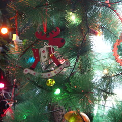 Christmas Tree with Red Reindeer Ornament and Colorful Lights
Close-up of a Christmas tree...
