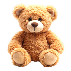 Obraz premium teddy bear on white