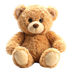 Fototapeta premium teddy bear on white