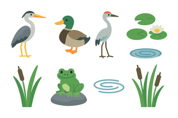 Wetland Wildlife Icons. Flat vector mini-illustrations wetland bird species in colors children's illustrations