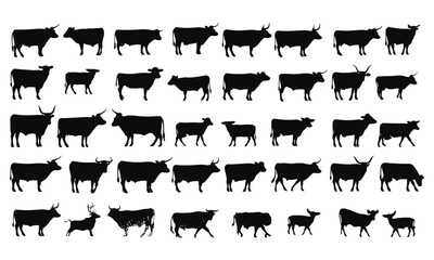 Cattle silhouette vector collection with various cow breeds in dynamic poses, grazing, jumping, walking. Perfect for farm logos, ranch branding, decals, black and white backgrounds