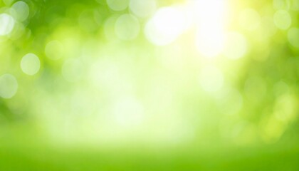 柔らかな陽の光　新緑の森　木漏れ日の背景画像