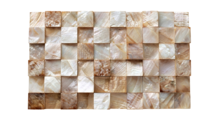 Shell mosaic tile pattern