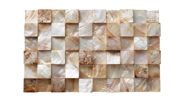 Shell mosaic tile pattern