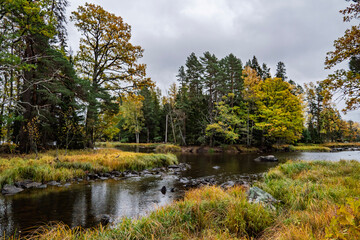 Swedish river and natural salmon landscape in autumn. Farnebofjarden national park in north of Sweden