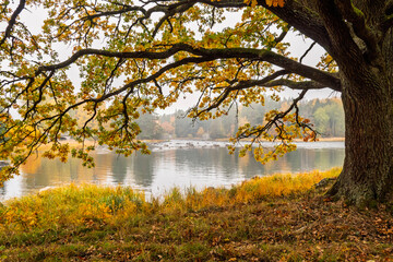 Swedish river and natural salmon landscape in autumn. Farnebofjarden national park in north of Sweden