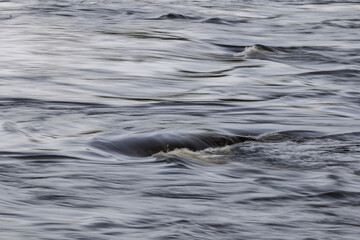Closeup view of flowing river surface. Natur backgrounds or water texture.