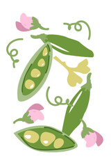 Green peas and pink blossoms pattern with botanical elements. Contemporary minimal vegetable poster with bright colors. Modern vertical design.