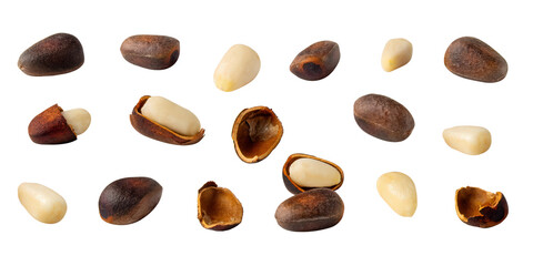 Exploring the intricate textures and colors of various seeds spread out artistically against a...