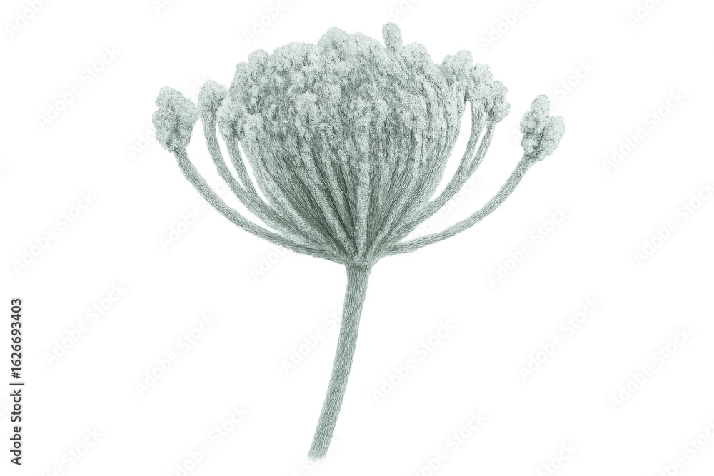 Poster realistic 3d rendering of a frozen umbelliferous plant covered with frost, isolated on transparent b