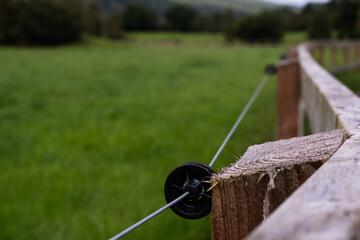 A closeup shot of a wooden post with an electric fence wire on a vibrant green field background