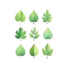 Nine different stylized green leaves arranged on a white background, showcasing various shapes and textures.