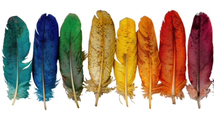 A horizontal row of colorful bird feathers.  Each feather displays a vibrant hue, transitioning smoothly from one end to the other.  The colors span the rainbow spectrum, creating a striking visual