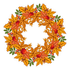 Fall wreath with leaves isolated. Fall  Background. Autumn  wreath Illustration. Fall Flower Design. Fall Botanical Wreath design. Harvest Festival  Frame. Botanical Design for harvest fest