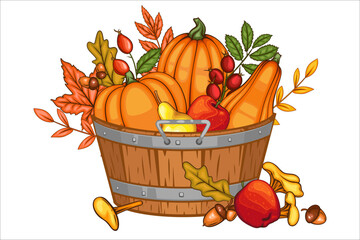Fall Harvest. Wooden Box with Fall Harvest and Leaves. Autumn Harvest concept. Pumpkin, Apple, Acorn in a basket on white background. Farm fresh fruits. Agriculture. Thanksgiving Design