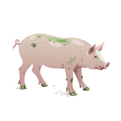Realistic Pig Vector Illustration – Farm Animal Artwork in Side View – Livestock Graphic for Agriculture, Butchery, Educational, and Vintage Design Use

