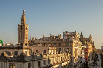 Obraz premium Panoramic elevated view of Seville Cathedral rooftops and historic Giralda bell tower illuminated by warm sunset light in Seville Andalusia Spain.