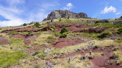 Dom de Barrot en rouge et bleu 2