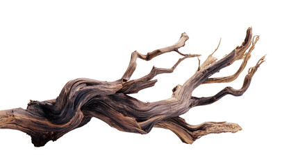 Gnarly deadwood branch with intricate texture isolated on transparent background