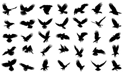 Black & White Eagle Silhouette Vector Set, Unique Eagle Poses Perfect for Logo Design, Wildlife Art, Bird of Prey Icons, Flying Raptors, Talon and Feather Graphics