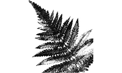 Grunge fern collage design featuring vintage halftone stipple and retro photocopy effect. Y2K punk brutalist vector art for banners, posters, tattoos, music covers, elegant floral textures © Vintage Studio