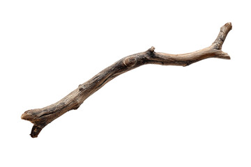 Dry tree branch isolated on transparent background