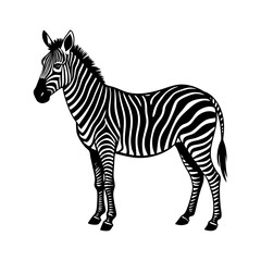 silhouette of a zebra standing with stripes visible vector art