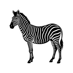 silhouette of a zebra standing with stripes visible vector art