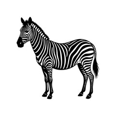 silhouette of a zebra standing with stripes visible vector art
