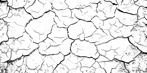 digital wall grunge and dust pattern surface Cracked white wall texture design element white background.
