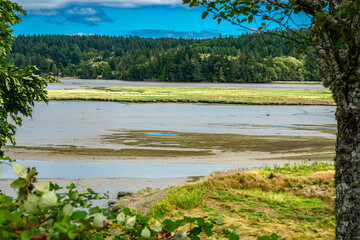 Oyster Bay Landscape 3